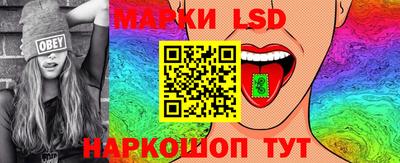 тгк Новозыбков