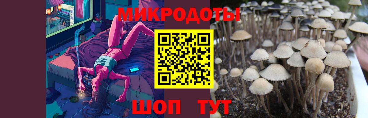 Галлюциногенные грибы мухоморы Сарапул